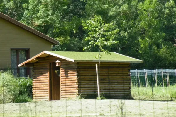 toiture d'abris de jardin en gazon