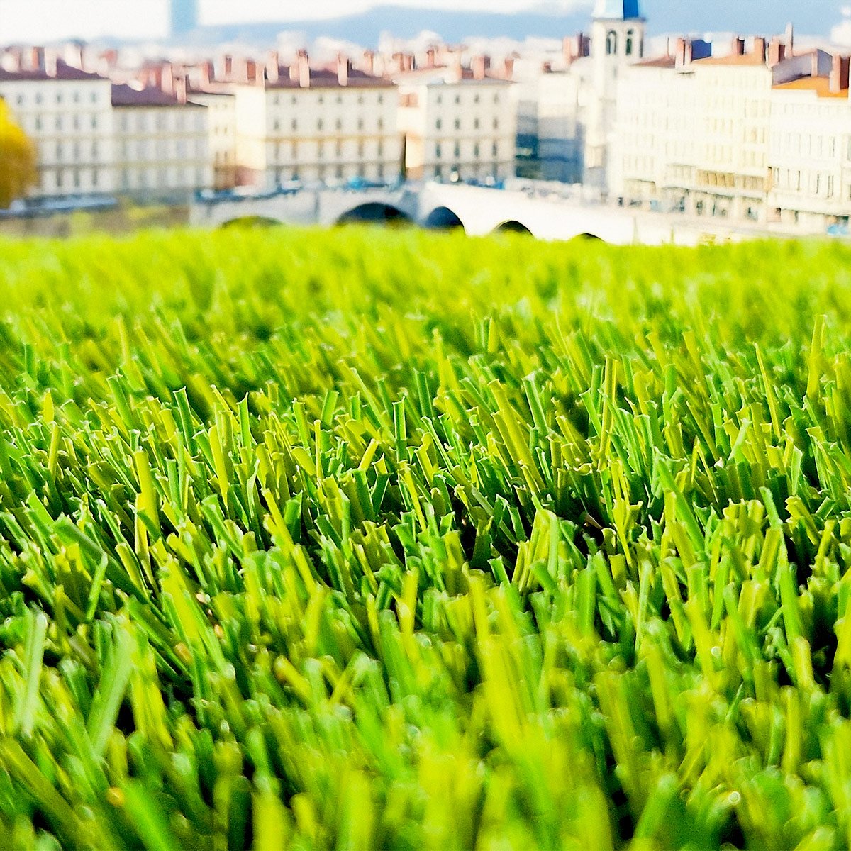 Fibres souples d'un gazon synthétique observées en extérieur